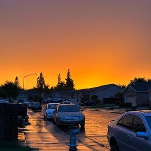 Meet your Posher, Eva